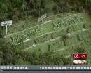 “垃圾場”拍婚紗：玩噱頭還是做環保？